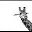 dotmom